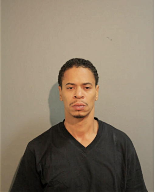 CHRISTOPHER T FOLEY, Cook County, Illinois