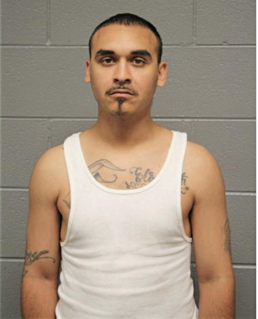 MAXIMILIANO GONZALEZ, Cook County, Illinois