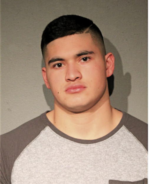 MARIO O HERRERA, Cook County, Illinois