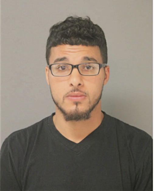 NAPEEL SAFYAN ISMAIL, Cook County, Illinois