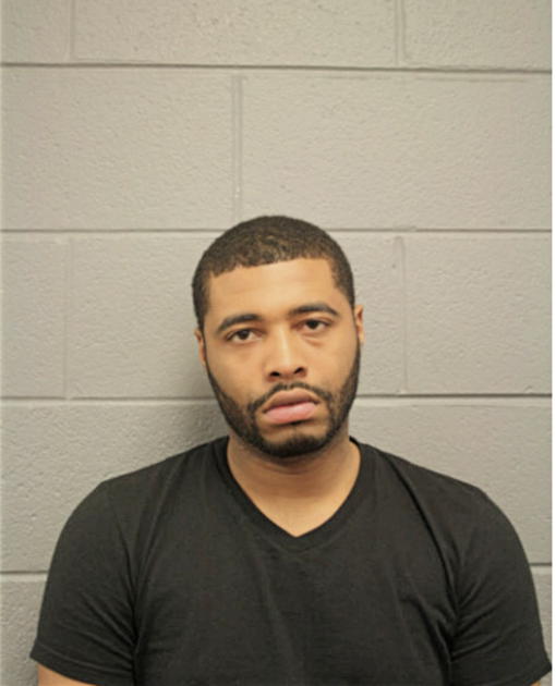 ERIK D JOHNSON, Cook County, Illinois