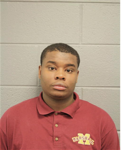 DAVID L KINSEY, Cook County, Illinois