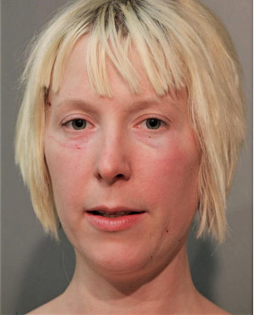 NICOLE T LAMONDIE, Cook County, Illinois