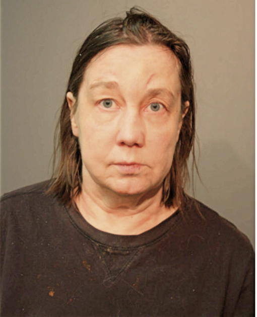 KATHERIN FJELD LAURSEN, Cook County, Illinois