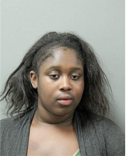 AMBER N LEMON, Cook County, Illinois