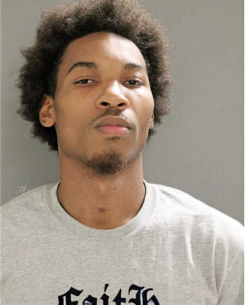 WILLIE L LIPSEY, Cook County, Illinois