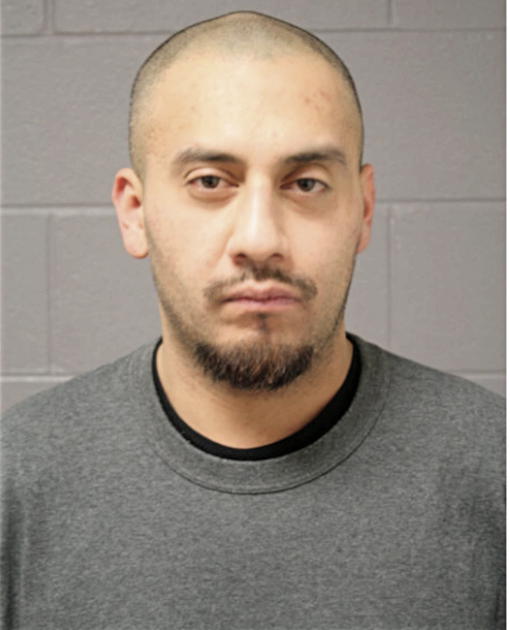 NOE MALDONADO, Cook County, Illinois
