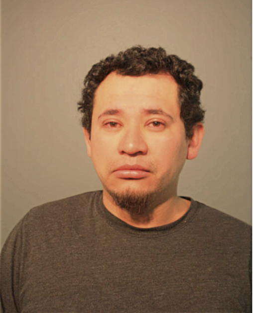MANUEL ENRIQUE MEJIA, Cook County, Illinois