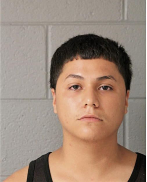 FABIAN ORTIZ, Cook County, Illinois