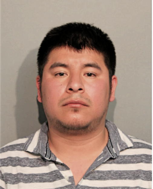 WALTERIO PATRICIO-FLORES, Cook County, Illinois