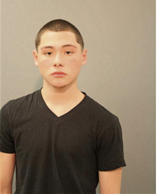 JOSE E PLASCNCIA, Cook County, Illinois