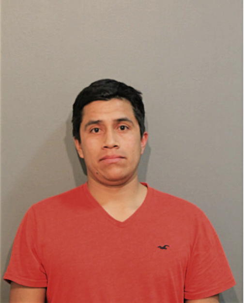 SERGIO REYNA, Cook County, Illinois