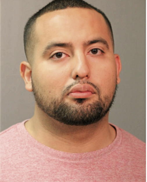 CARLOS A RODRIGUEZ-AMAYA, Cook County, Illinois