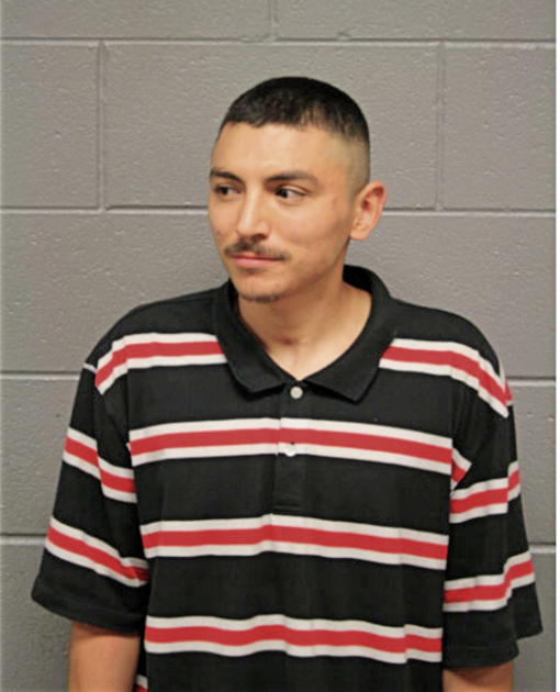 BRIAN ARTHUR RODRIGUEZ, Cook County, Illinois