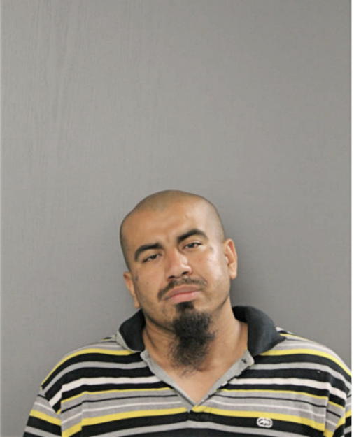 EFRAIN SAHAGUN, Cook County, Illinois