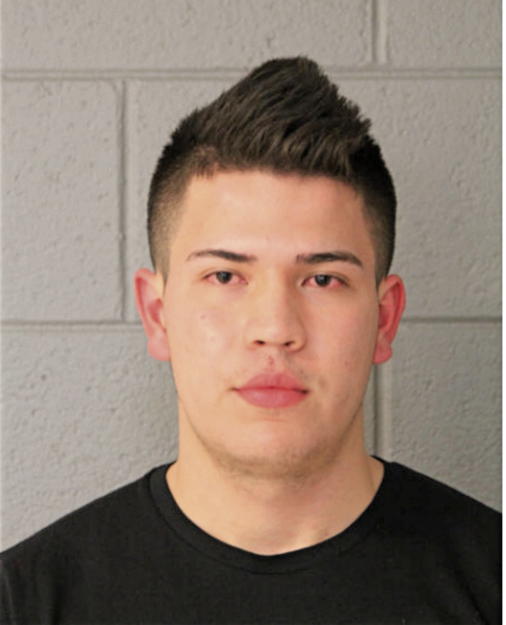 JUAN A SALAMANCA-AMAYA, Cook County, Illinois