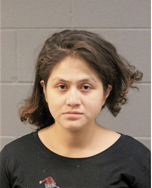 RAQUEL N VARGAS, Cook County, Illinois