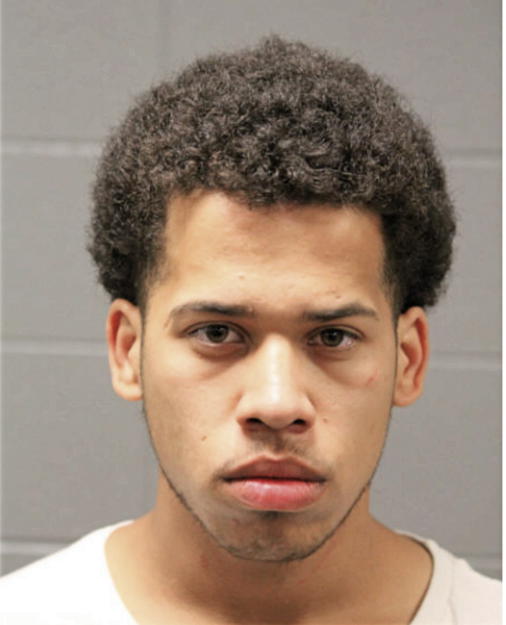 JOSHUA J VEGA, Cook County, Illinois