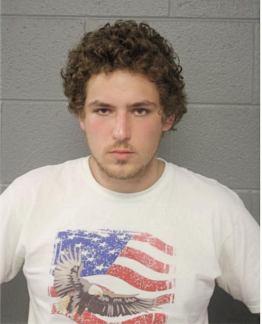 IAN P WILLIS, Cook County, Illinois