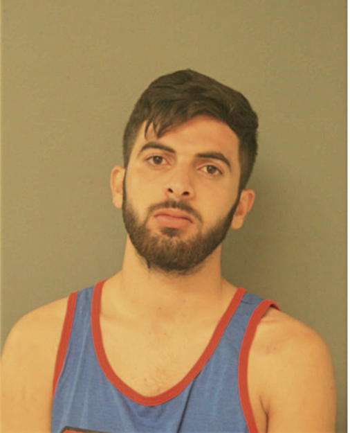 AHMED H ABUZAINA, Cook County, Illinois