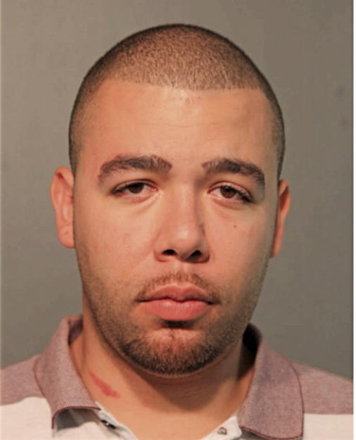 CHRISTOPHER J ANTONGIORGI, Cook County, Illinois
