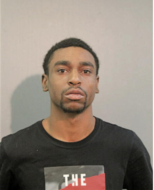 STEVEN D KING, Cook County, Illinois