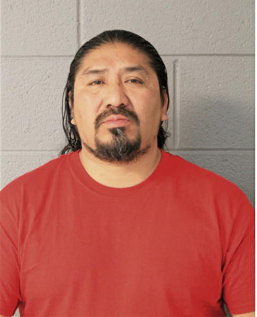 FIDEL DOMINGUEZ, Cook County, Illinois