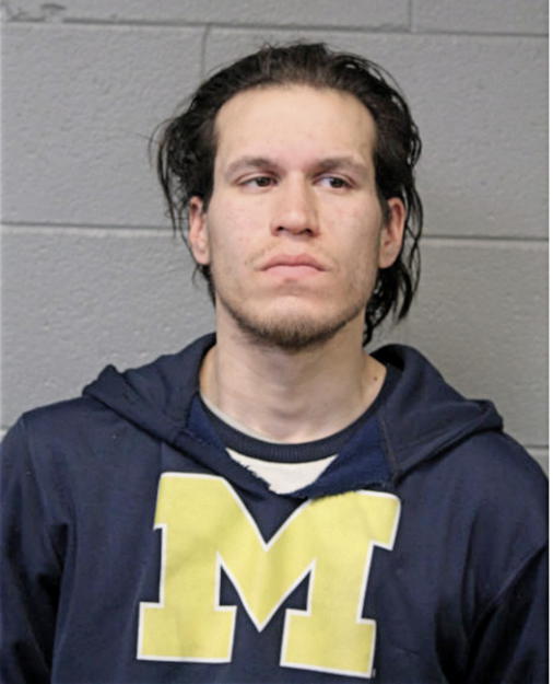 DAVID J GURNEAU, Cook County, Illinois