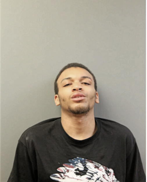 DAVID JOHNSON, Cook County, Illinois