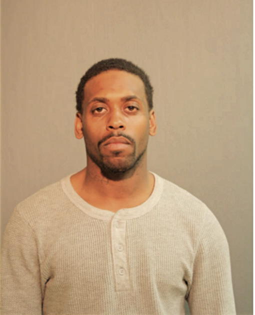 MICHAEL A JOHNSON, Cook County, Illinois