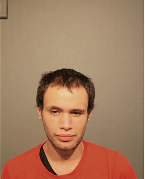 NELSON LOZADO, Cook County, Illinois