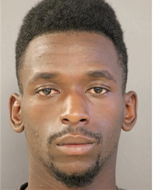 SHAUNTAE L MORRIS, Cook County, Illinois