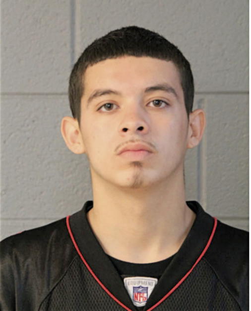 ALEXIS S NAVEJA, Cook County, Illinois