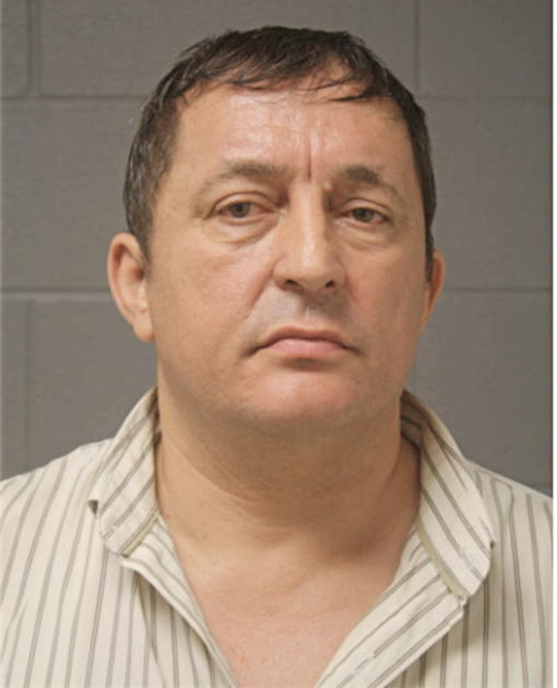 KALIN N NEZIROV, Cook County, Illinois