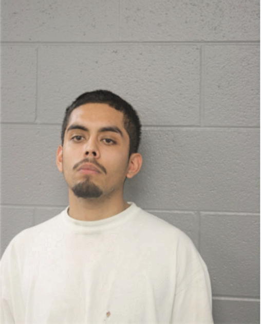 JULIO A PLASENCIA, Cook County, Illinois