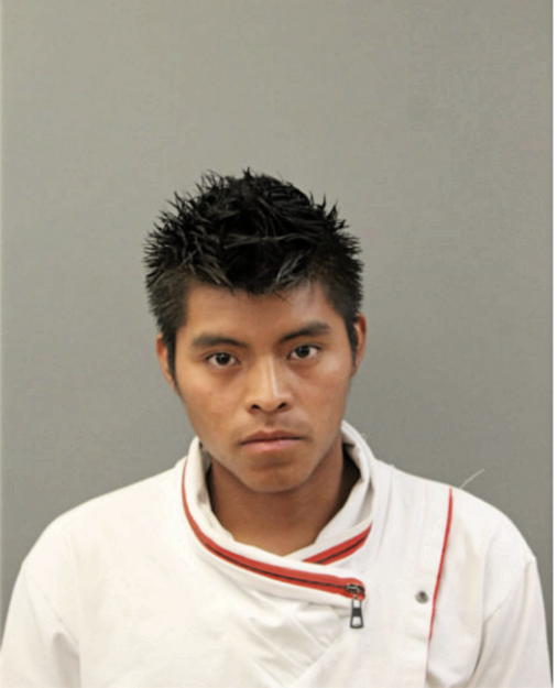 NICANOR A RAMIREZ, Cook County, Illinois