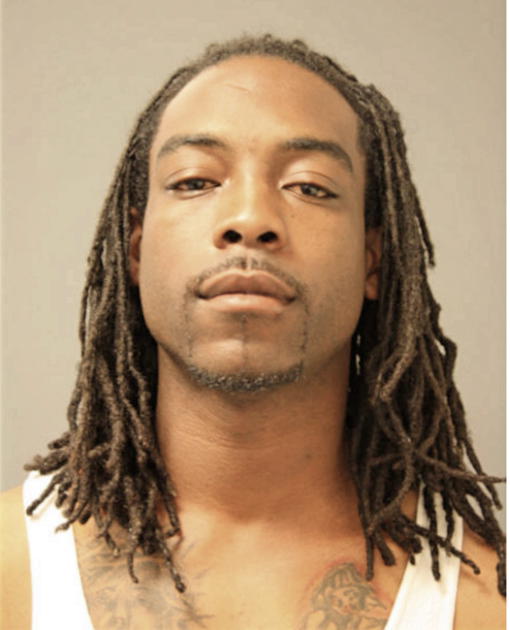 DAVID J RICHARDSON, Cook County, Illinois