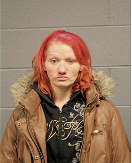 AMANDA S RINGLER, Cook County, Illinois