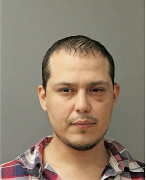 HAMDY ROSALES, Cook County, Illinois