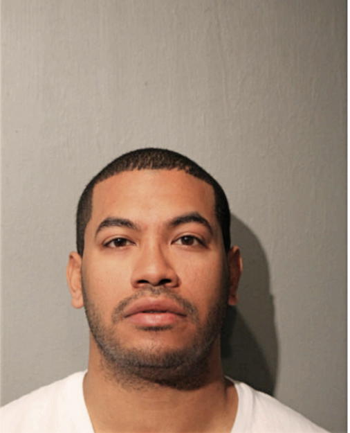 RYAN C SANGS, Cook County, Illinois