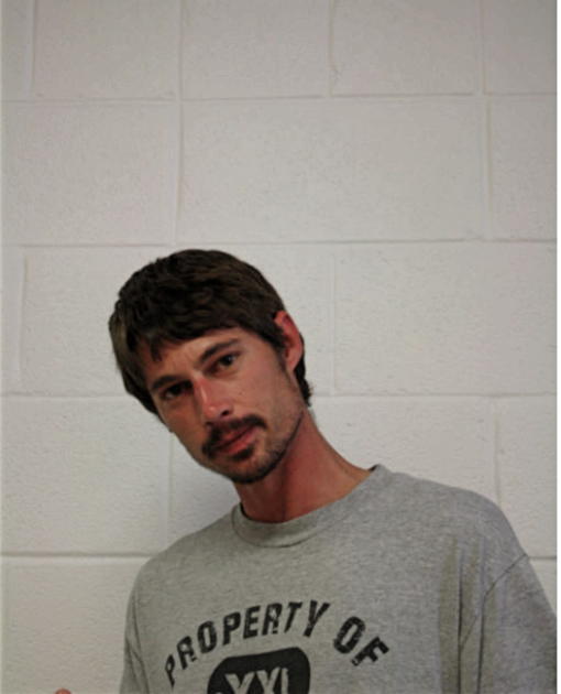 DUSTIN L SIBORENKO, Cook County, Illinois