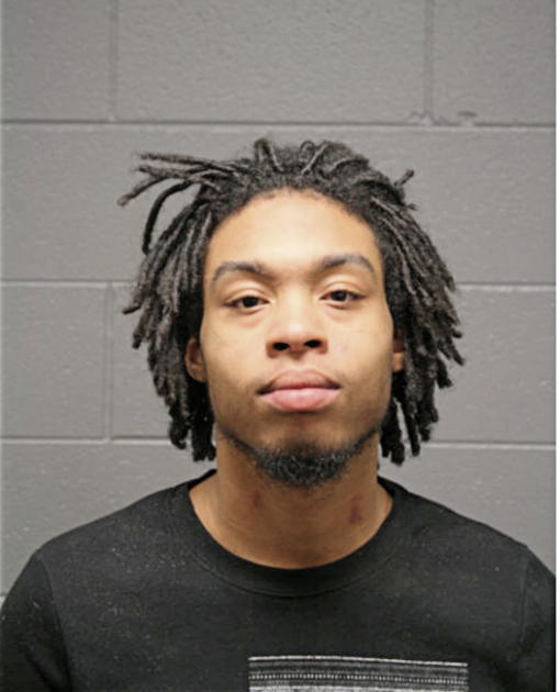 CHRISTIAN J TURNER, Cook County, Illinois
