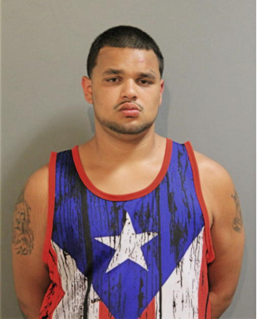 NATHANIEL E VAZQUEZ, Cook County, Illinois