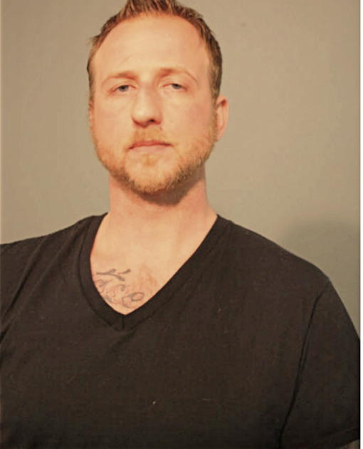 MICHAEL E WOOD, Cook County, Illinois