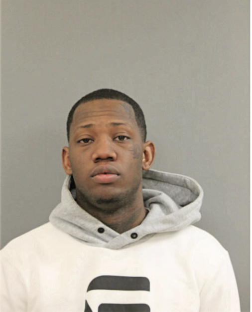 AARON YOUNG, Cook County, Illinois