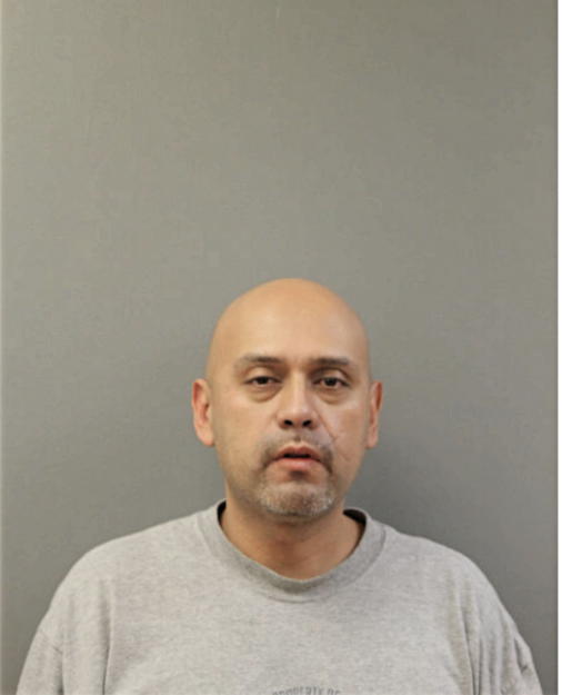 GUSTAVO S ZUNIGA, Cook County, Illinois