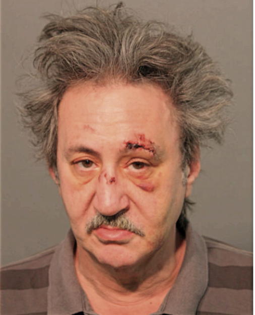NEWELL A ALBANESE, Cook County, Illinois