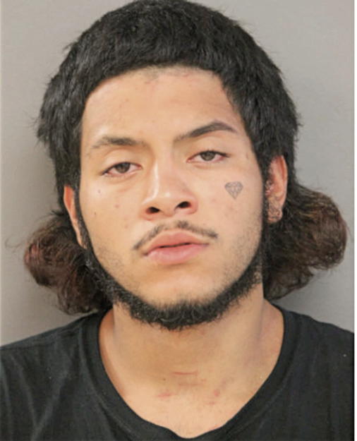 JOSE F AMENDARES, Cook County, Illinois