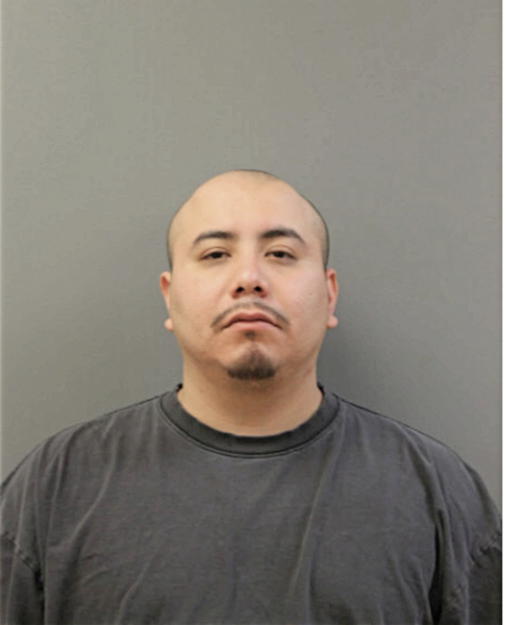 DANIEL ARELLANO, Cook County, Illinois