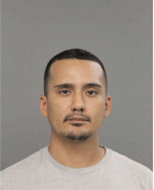 JOSHUA J BORRERO, Cook County, Illinois